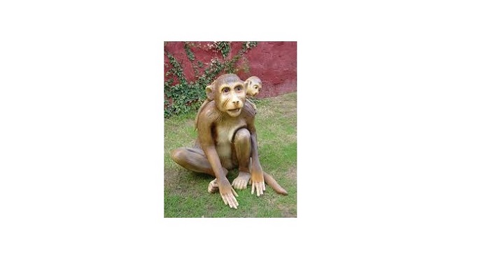 FRP Monkey