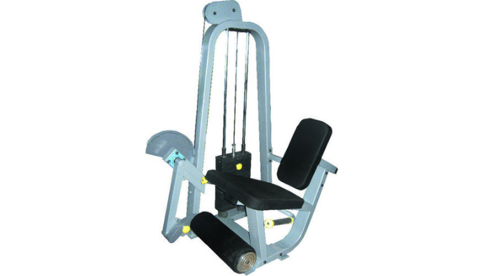 Leg Extension